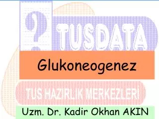glukoneogenez