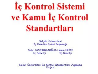 kontrol sistemi ve kamu kontrol standartlar