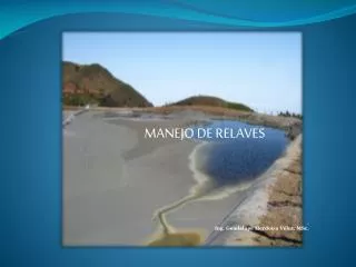 manejo de relaves