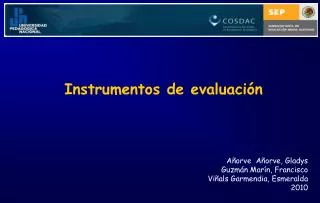 instrumentos de evaluaci n