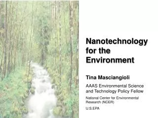Nanotechnology for the Environment