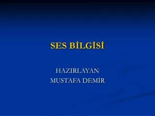ses b lg s