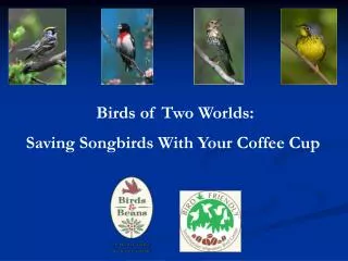 Saving Songbirds With Your Coffee Cup