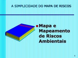 a simplicidade do mapa de riscos