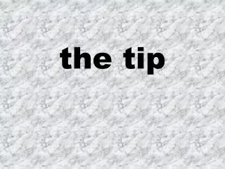 the tip