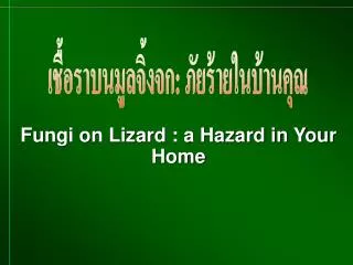 fungi on lizard a hazard in your home