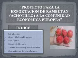 “PROYECTO PARA LA EXPORTACION DE RAMBUTAN (ACHOTILLO) A LA COMUNIDAD ECONOMICA EUROPEA”