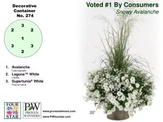 Voted #1 By Consumers Snowy Avalanche