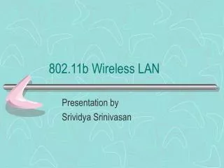 802.11b Wireless LAN