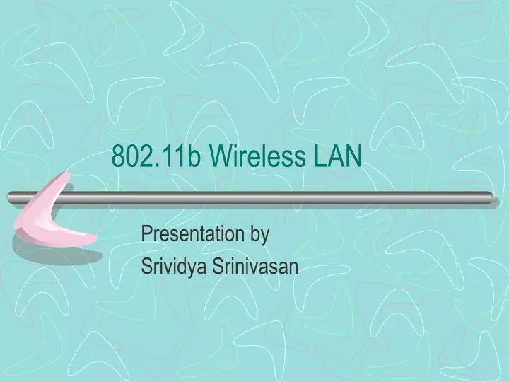 802 11b wireless lan