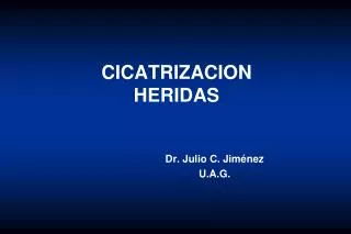 CICATRIZACION HERIDAS