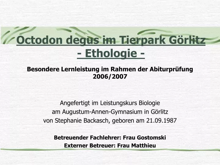 octodon degus im tierpark g rlitz ethologie