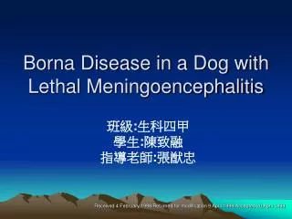 borna disease in a dog with lethal meningoencephalitis