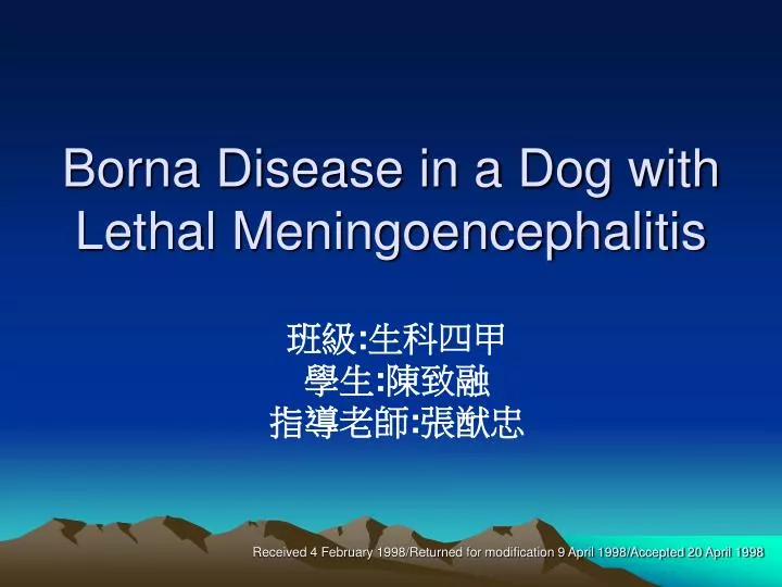 borna disease in a dog with lethal meningoencephalitis