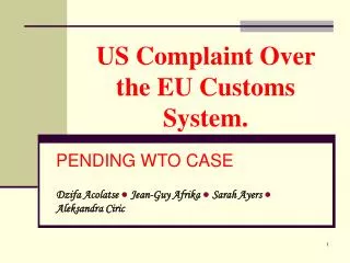 US Complaint Over the EU Customs System.