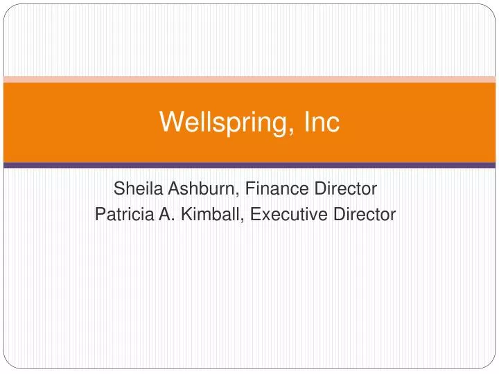 wellspring inc