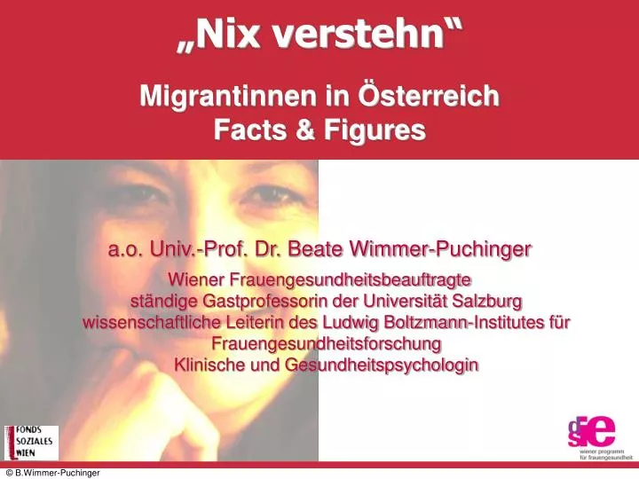 nix verstehn migrantinnen in sterreich facts figures