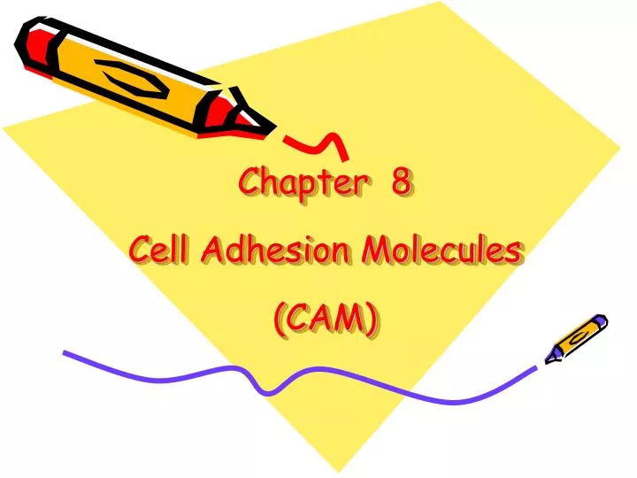 chapter 8 cell adhesion molecules cam
