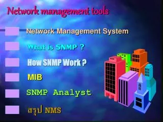 Network Management System