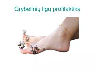 gr ybelini lig profilaktika