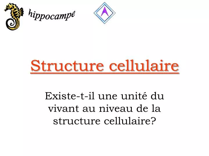 structure cellulaire