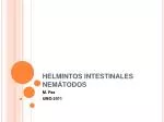 HELMINTOS INTESTINALES NEMÁTODOS