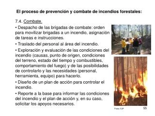 El proceso de prevención y combate de incendios forestales: