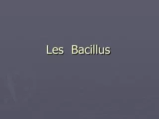 les bacillus