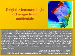 Origini e fenomenologia del magnetismo ambientale