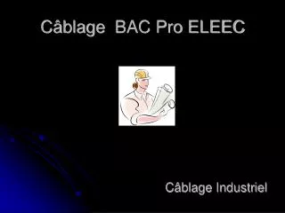 c blage bac pro eleec