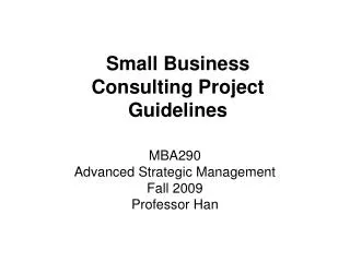 Small Business Consulting Project Guidelines