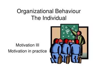 Organizational Behaviour The Individual