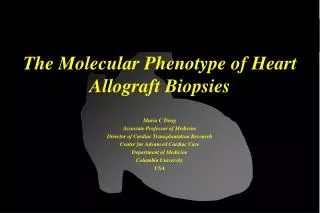 The Molecular Phenotype of Heart Allograft Biopsies