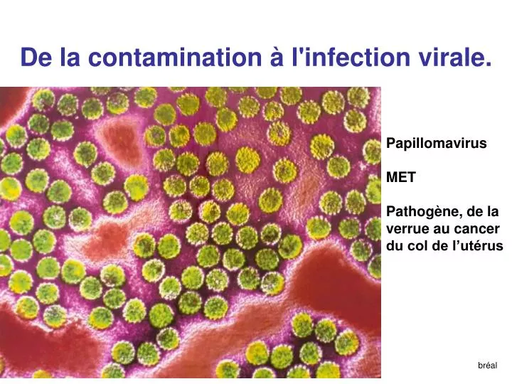 de la contamination l infection virale