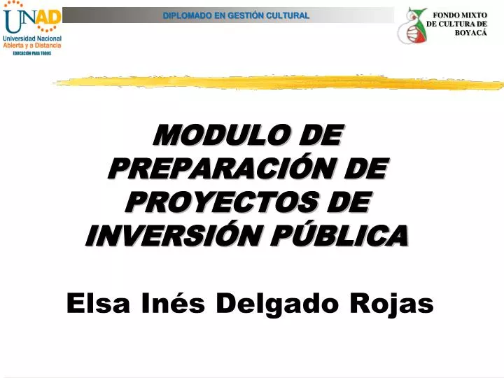 modulo de preparaci n de proyectos de inversi n p blica elsa in s delgado rojas