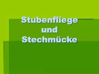 Stubenfliege und Stechmücke