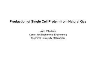 Production of Single Cell Protein from Natural Gas