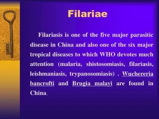 Filariae