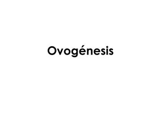 ovog nesis
