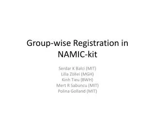 Group-wise Registration in NAMIC-kit