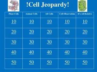 !Cell Jeopardy!