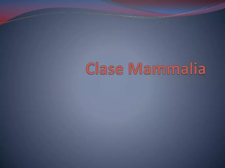 clase mammalia