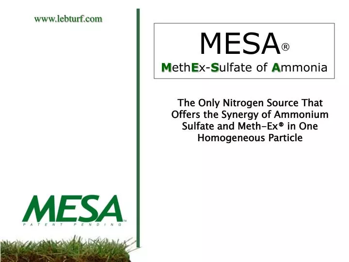 mesa m eth e x s ulfate of a mmonia