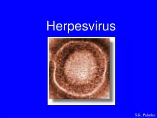 herpesvirus