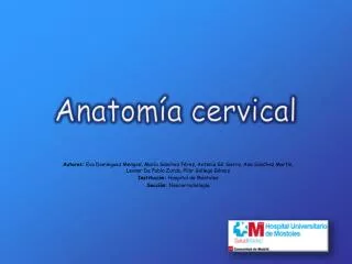 anatom a cervical