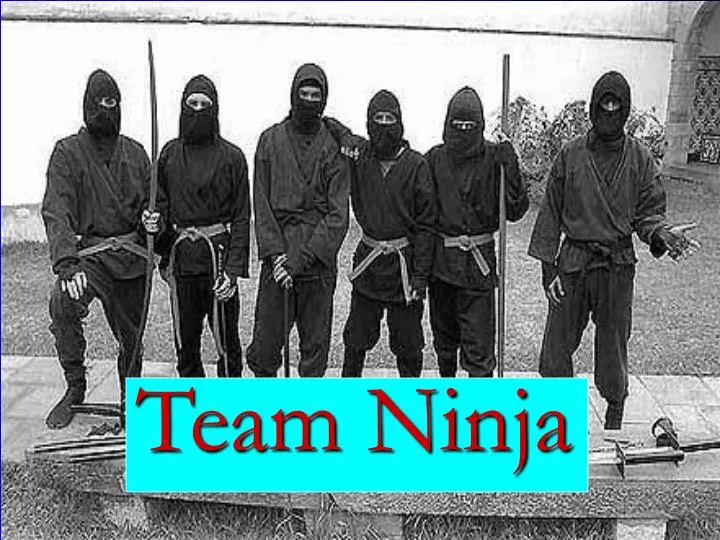 team ninja