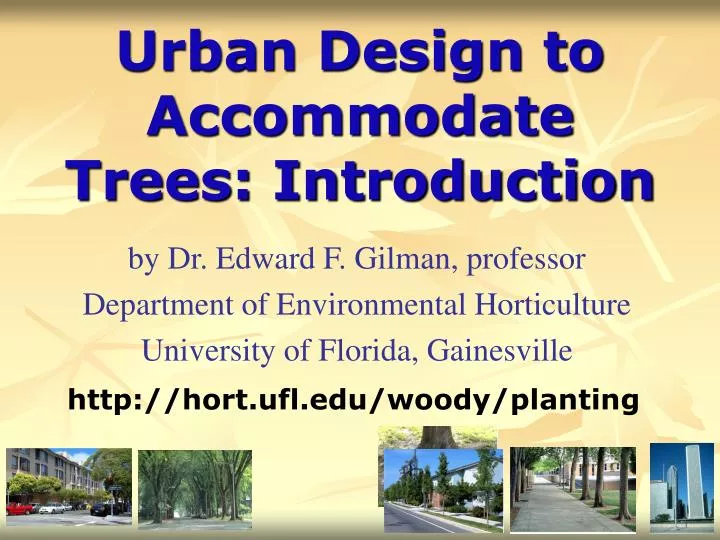 urban design to accommodate trees introduction