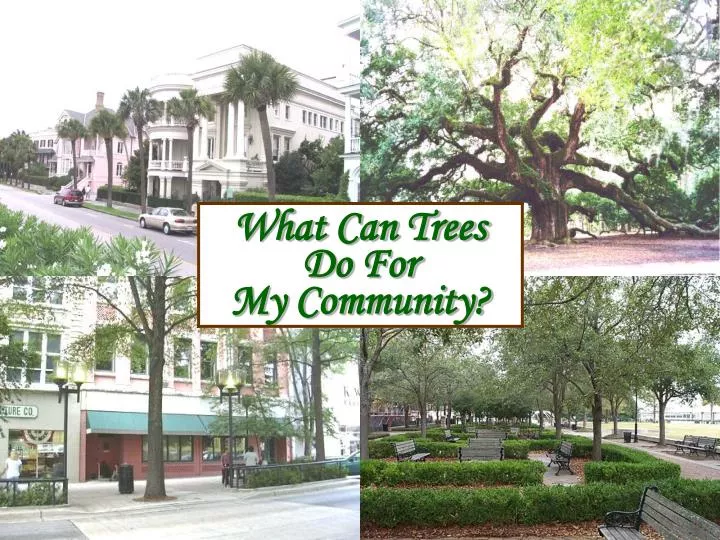 what can trees do for my community