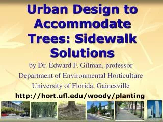 Urban Design to Accommodate Trees: Sidewalk Solutions