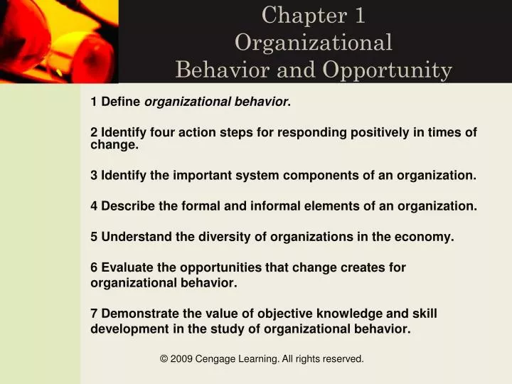 chapter 1 organizational behavior and opportunity